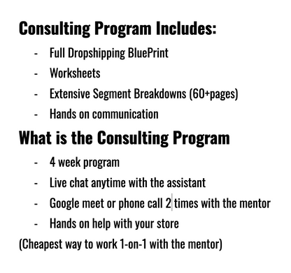 Consulting Program